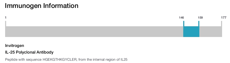 IL-25 Polyclonal Antibody