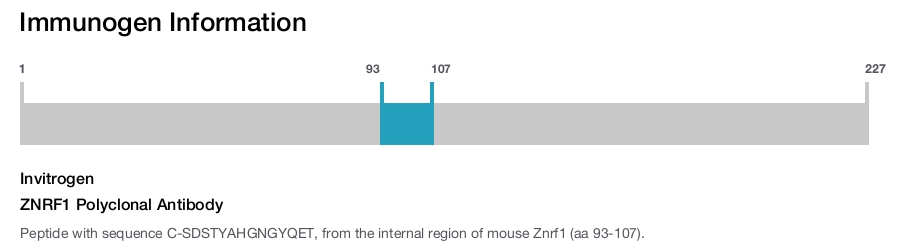 ZNRF1 Polyclonal Antibody