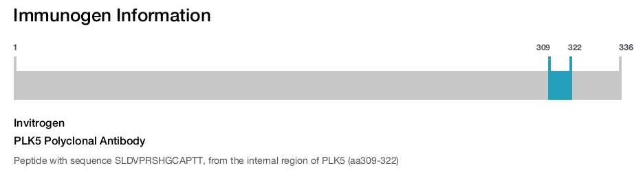 PLK5 Polyclonal Antibody