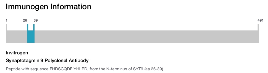 Synaptotagmin 9 Polyclonal Antibody