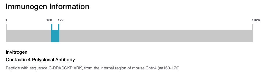 Contactin 4 Polyclonal Antibody
