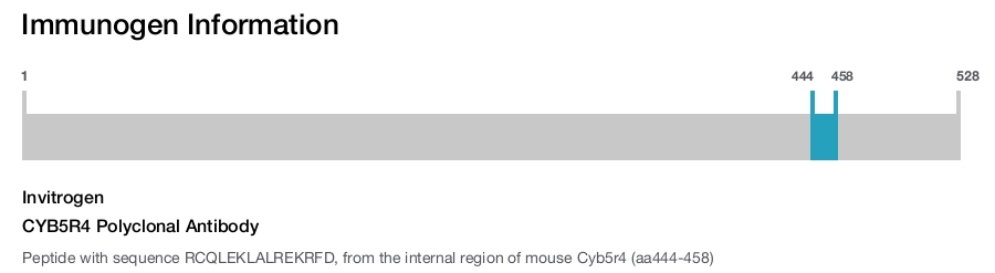 CYB5R4 Polyclonal Antibody
