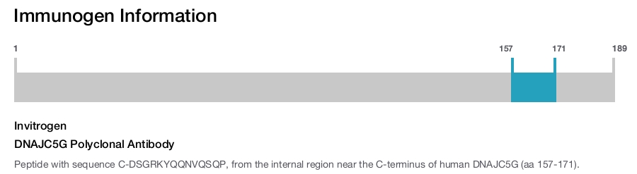 DNAJC5G Polyclonal Antibody