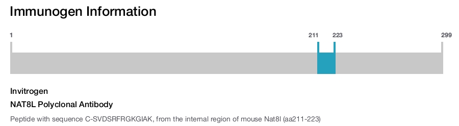 NAT8L Polyclonal Antibody