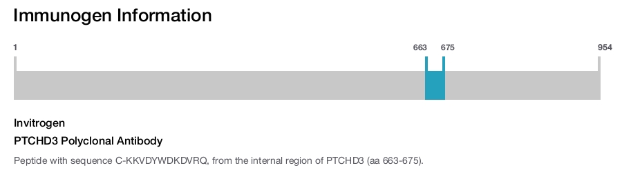 PTCHD3 Polyclonal Antibody