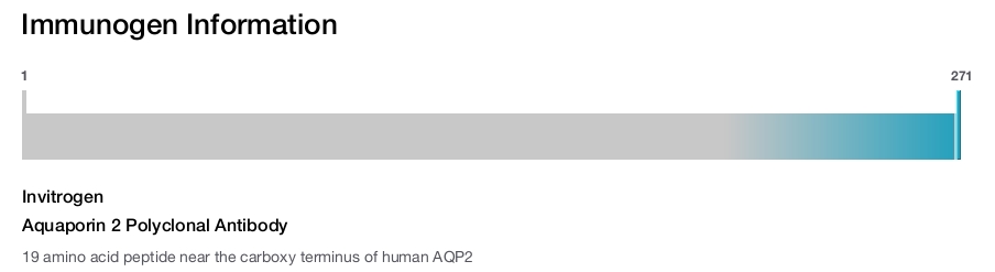 Aquaporin 2 Polyclonal Antibody