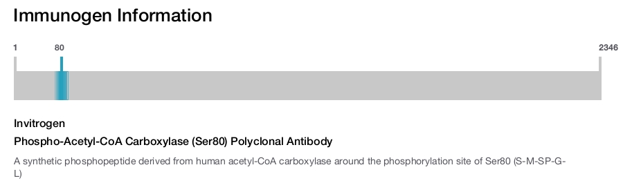 Phospho-Acetyl-CoA Carboxylase (Ser80) Polyclonal Antibody