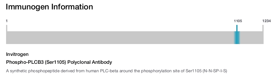 Phospho-PLCB3 (Ser1105) Polyclonal Antibody