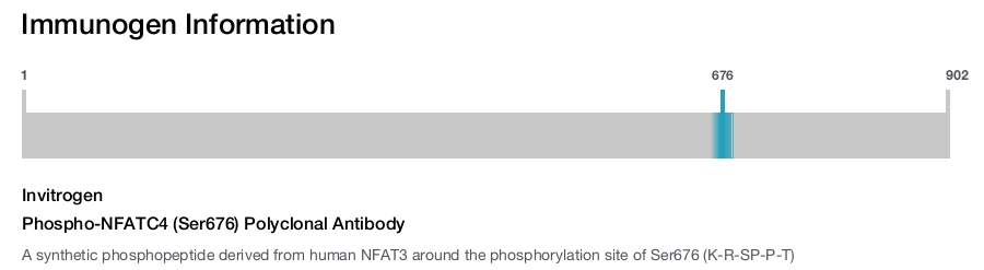 Phospho-NFATC4 (Ser676) Polyclonal Antibody