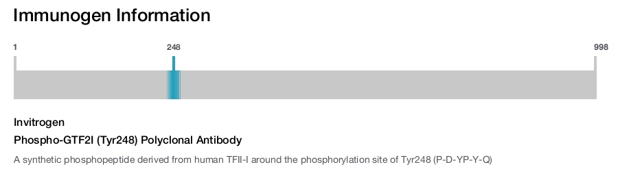Phospho-GTF2I (Tyr248) Polyclonal Antibody