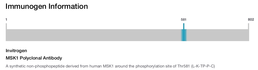 MSK1 Polyclonal Antibody