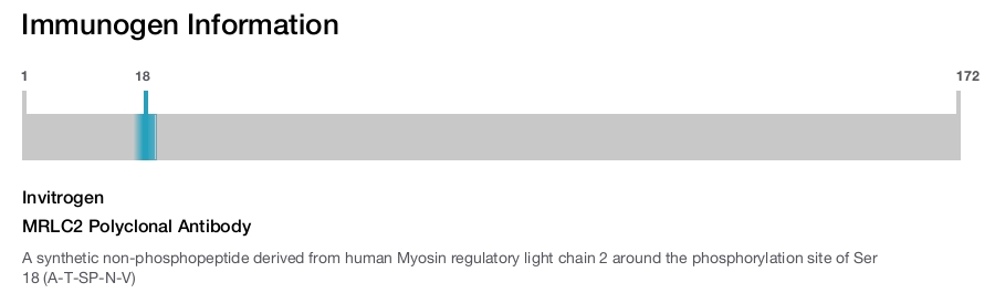 MRLC2 Polyclonal Antibody