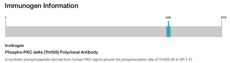 Phospho-PKC delta (Thr505) Polyclonal Antibody