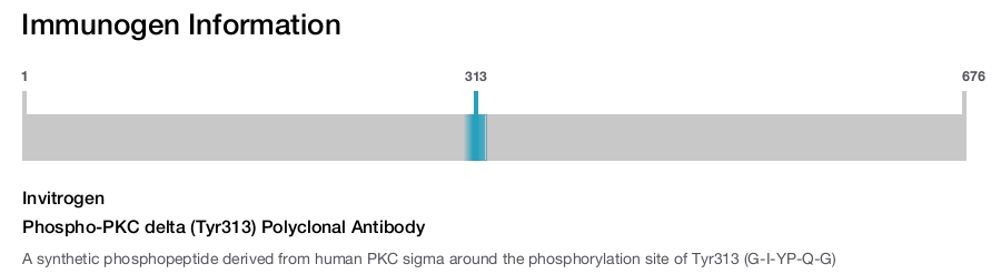 Phospho-PKC delta (Tyr313) Polyclonal Antibody