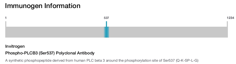 Phospho-PLCB3 (Ser537) Polyclonal Antibody
