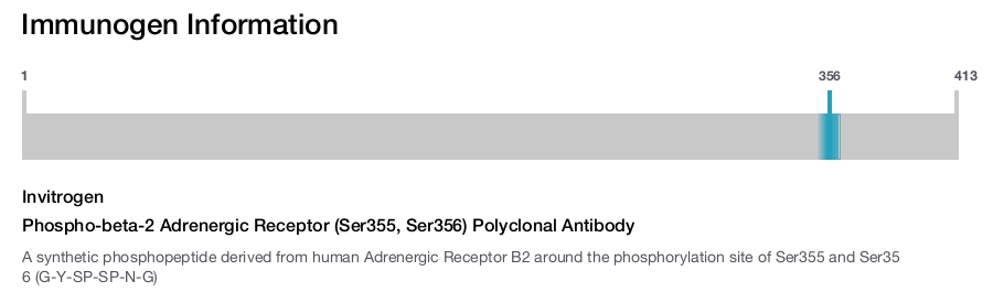 Phospho-beta-2 Adrenergic Receptor (Ser355, Ser356) Polyclonal Antibody