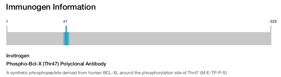 Phospho-Bcl-X (Thr47) Polyclonal Antibody