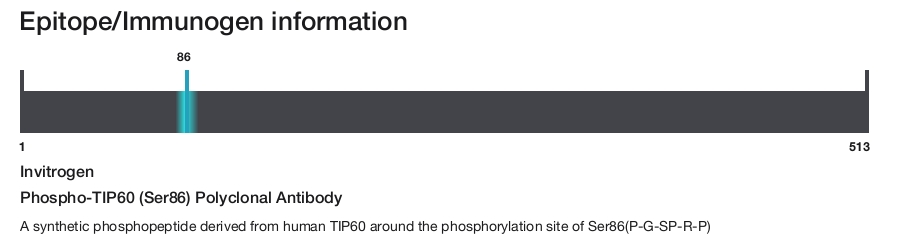 Phospho-TIP60 (Ser86) Polyclonal Antibody