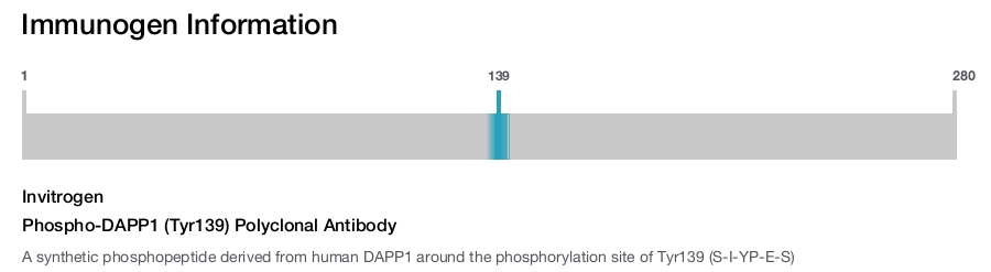 Phospho-DAPP1 (Tyr139) Polyclonal Antibody