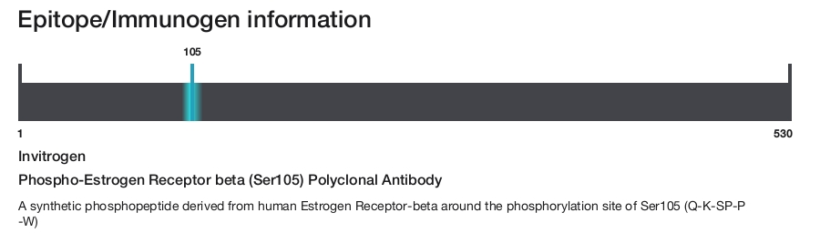 Phospho-Estrogen Receptor beta (Ser105) Polyclonal Antibody