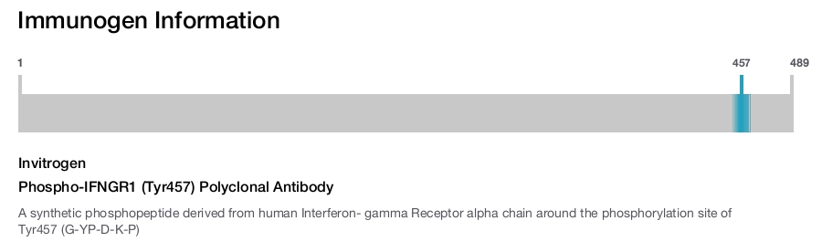 Phospho-IFNGR1 (Tyr457) Polyclonal Antibody