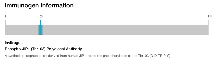 Phospho-JIP1 (Thr103) Polyclonal Antibody