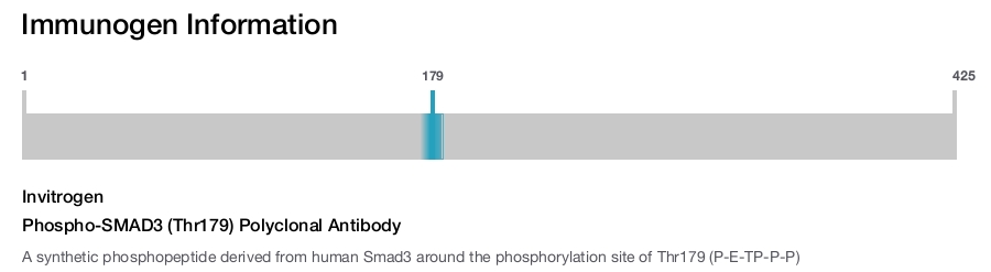 Phospho-SMAD3 (Thr179) Polyclonal Antibody