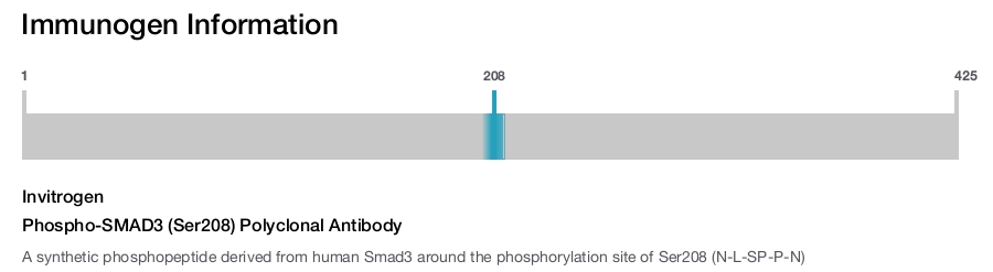 Phospho-SMAD3 (Ser208) Polyclonal Antibody