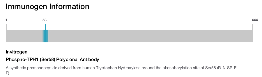 Phospho-TPH1 (Ser58) Polyclonal Antibody