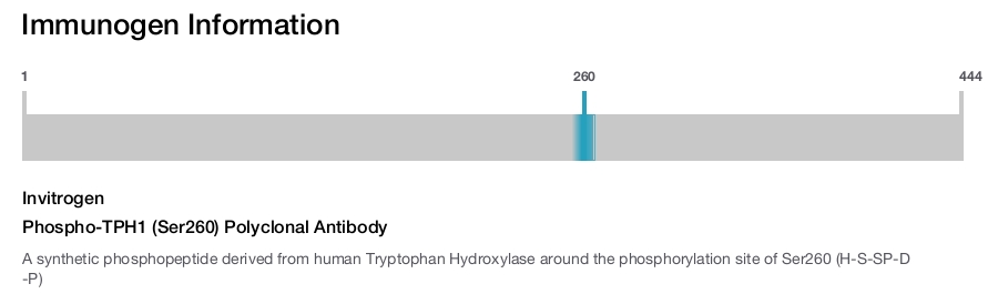 Phospho-TPH1 (Ser260) Polyclonal Antibody