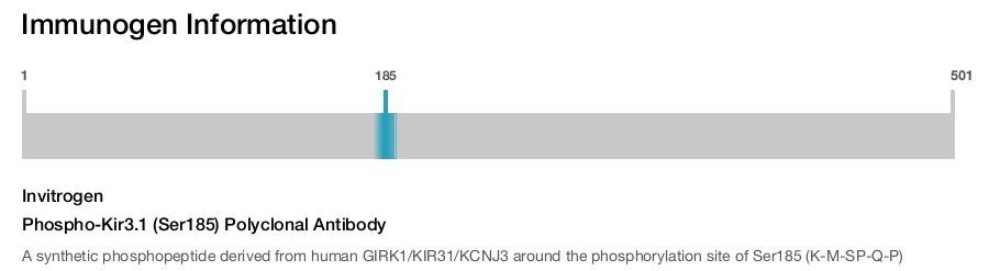 Phospho-Kir3.1 (Ser185) Polyclonal Antibody