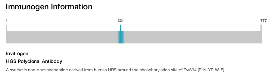 HGS Polyclonal Antibody