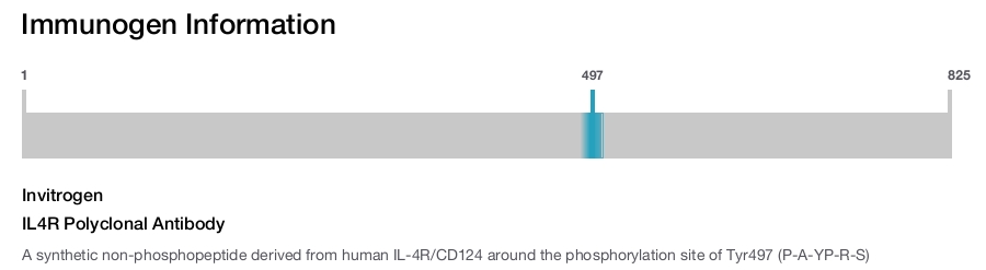 IL4R Polyclonal Antibody