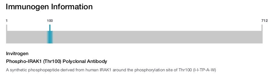 Phospho-IRAK1 (Thr100) Polyclonal Antibody