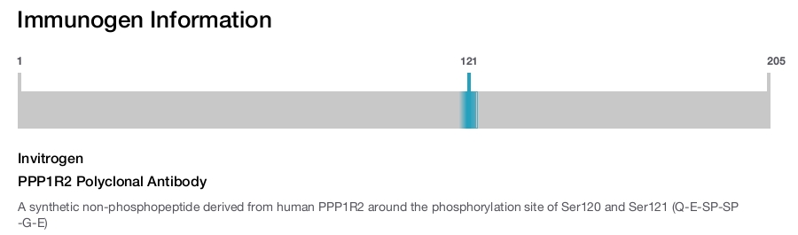PPP1R2 Polyclonal Antibody