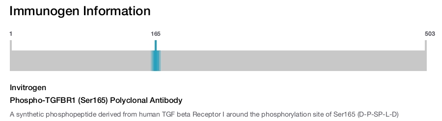 Phospho-TGFBR1 (Ser165) Polyclonal Antibody