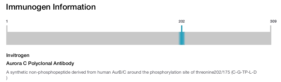 Aurora C Polyclonal Antibody