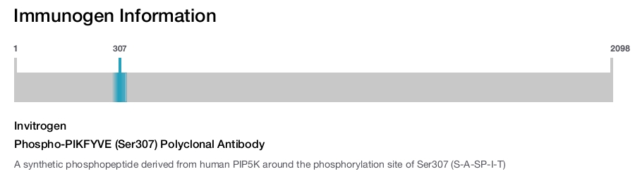 Phospho-PIKFYVE (Ser307) Polyclonal Antibody
