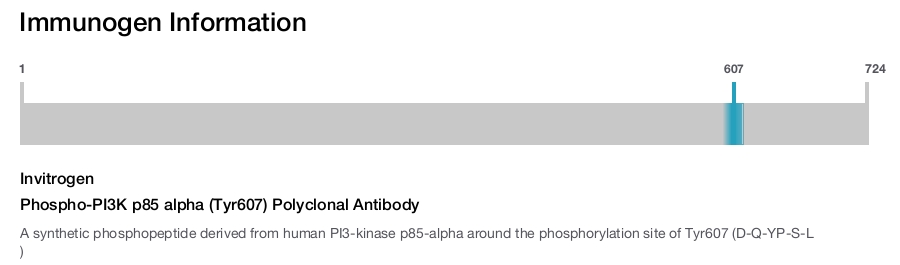 Phospho-PI3K p85 alpha (Tyr607) Polyclonal Antibody