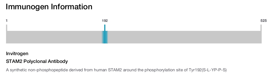STAM2 Polyclonal Antibody