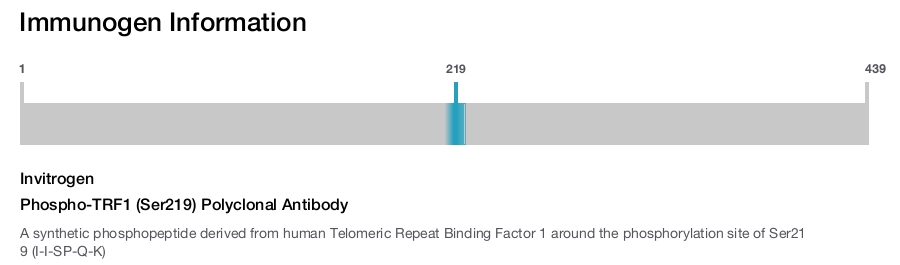 Phospho-TRF1 (Ser219) Polyclonal Antibody