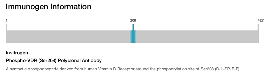 Phospho-VDR (Ser208) Polyclonal Antibody