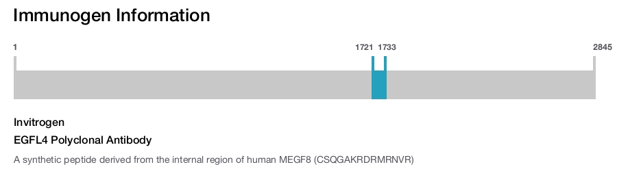EGFL4 Polyclonal Antibody