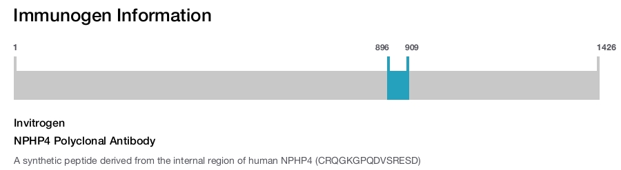 NPHP4 Polyclonal Antibody