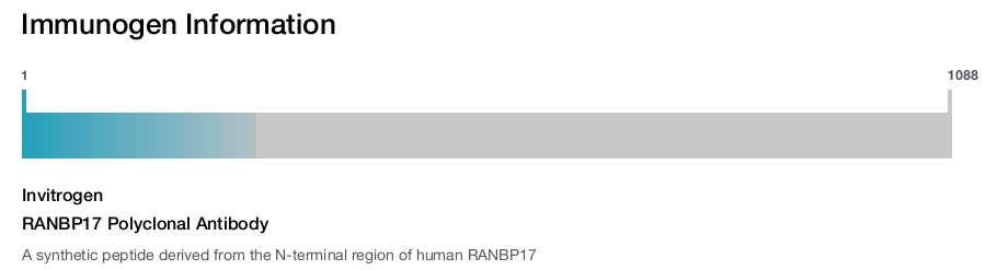 RANBP17 Polyclonal Antibody