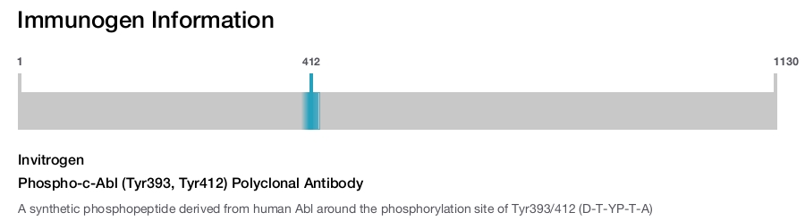 Phospho-c-Abl (Tyr393, Tyr412) Polyclonal Antibody