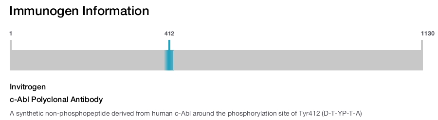 c-Abl Polyclonal Antibody