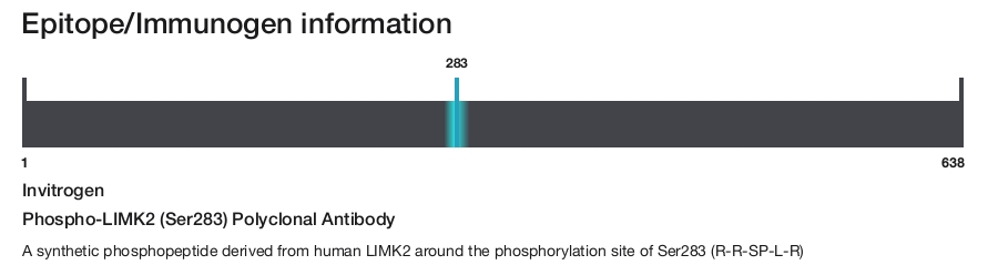Phospho-LIMK2 (Ser283) Polyclonal Antibody