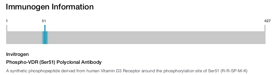 Phospho-VDR (Ser51) Polyclonal Antibody