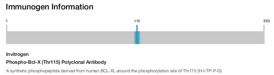 Phospho-Bcl-X (Thr115) Polyclonal Antibody